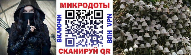 Галлюциногенные грибы мицелий  Купить  Борисоглебск 